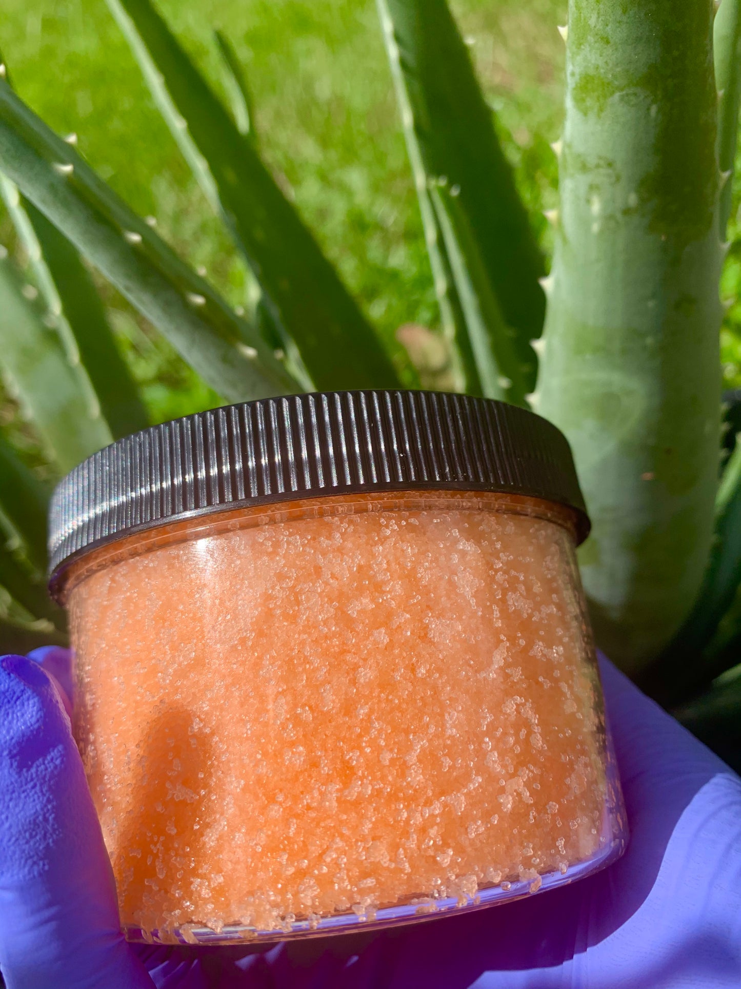 Pumpkin Cheesecake Body Scrub